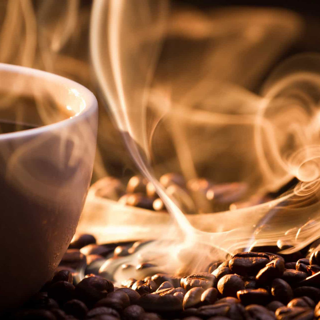 Dhana Kenya AA Coffee - Light Roast